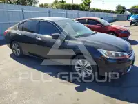 2013 Honda Accord photo