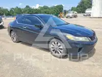 2013 Honda Accord photo