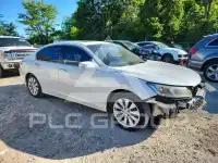 2013 Honda Accord photo