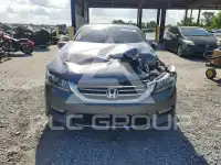 2013 Honda Accord photo