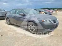 2013 Honda Accord photo