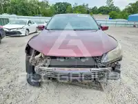 2013 Honda Accord photo