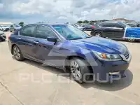 2013 Honda Accord photo