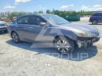 2013 Honda Accord photo