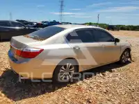 2013 Honda Accord photo