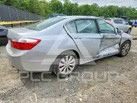 2013 Honda Accord photo