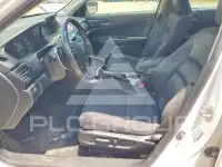 2013 Honda Accord photo