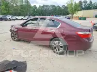 2013 Honda Accord photo