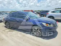 2013 Honda Accord photo
