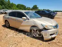 2013 Honda Accord photo