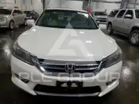 2013 Honda Accord photo