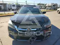 2013 Honda Accord photo