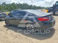2013 Honda Accord photo