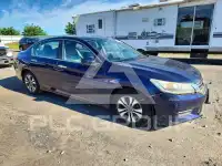 2013 Honda Accord photo