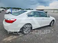 2013 Honda Accord photo