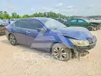 2013 Honda Accord photo