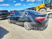 2013 Honda Accord фото
