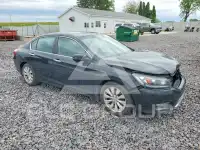 2013 Honda Accord фото