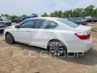 2013 Honda Accord photo