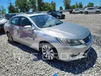 2013 Honda Accord photo