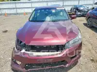 2013 Honda Accord photo