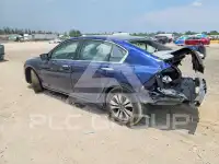 2013 Honda Accord photo