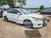 2013 Honda Accord photo