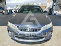 2013 Honda Accord photo