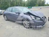 2013 Honda Accord photo