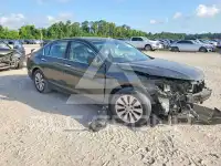 2013 Honda Accord photo