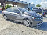 2013 Honda Accord photo