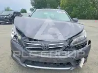 2013 Honda Accord photo
