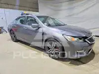 2013 Honda Accord фото