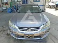 2013 Honda Accord photo