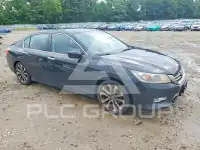 2013 Honda Accord фото