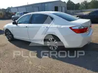 2013 Honda Accord photo