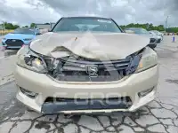 2013 Honda Accord photo