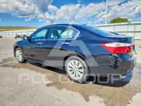 2013 Honda Accord фото