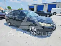 2013 Honda Accord photo