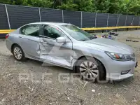 2013 Honda Accord photo