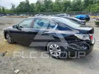 2013 Honda Accord photo