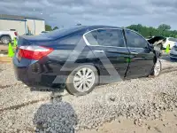 2013 Honda Accord photo
