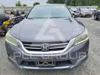 2013 Honda Accord фото