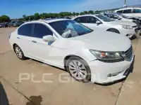 2013 Honda Accord photo