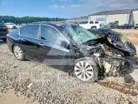 2013 Honda Accord photo