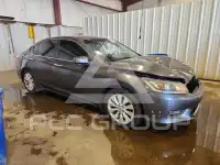 2013 Honda Accord photo