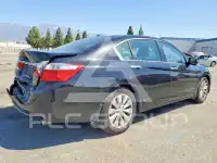 2013 Honda Accord photo