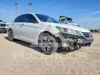 2013 Honda Accord photo