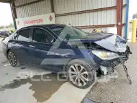 2013 Honda Accord photo