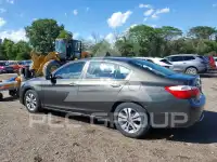 2013 Honda Accord фото